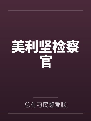美利坚检察官 美利坚检察官